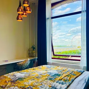 book here